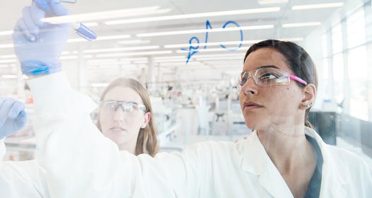 Investigación y desarrollo