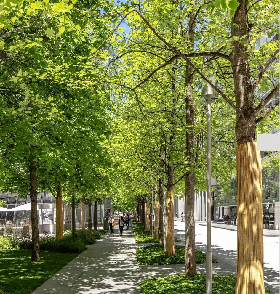 A scenic view of a modern urban pedestrian walkway lined with lush green trees and contemporary architecture