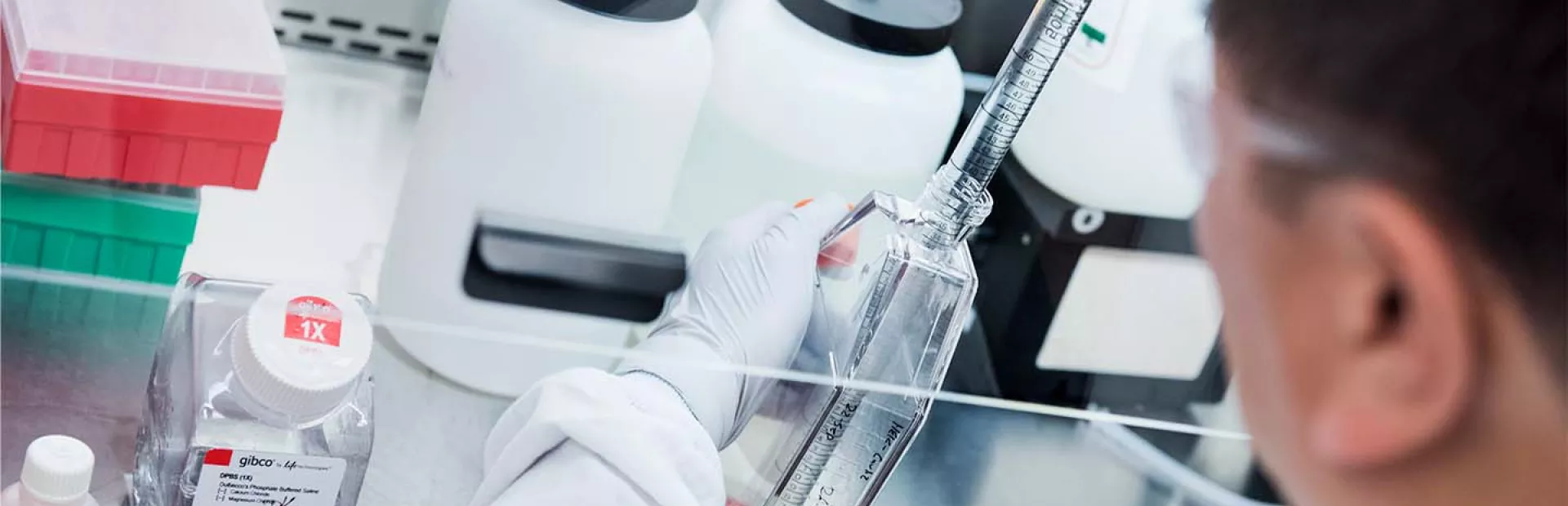 Wissenschaftler im Labor mit Zellkulturen