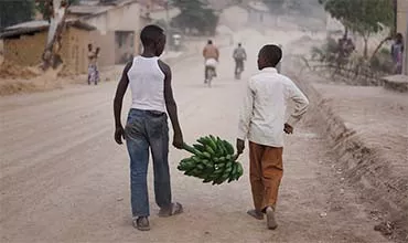 2 Jungen tragen Bananenstaude
