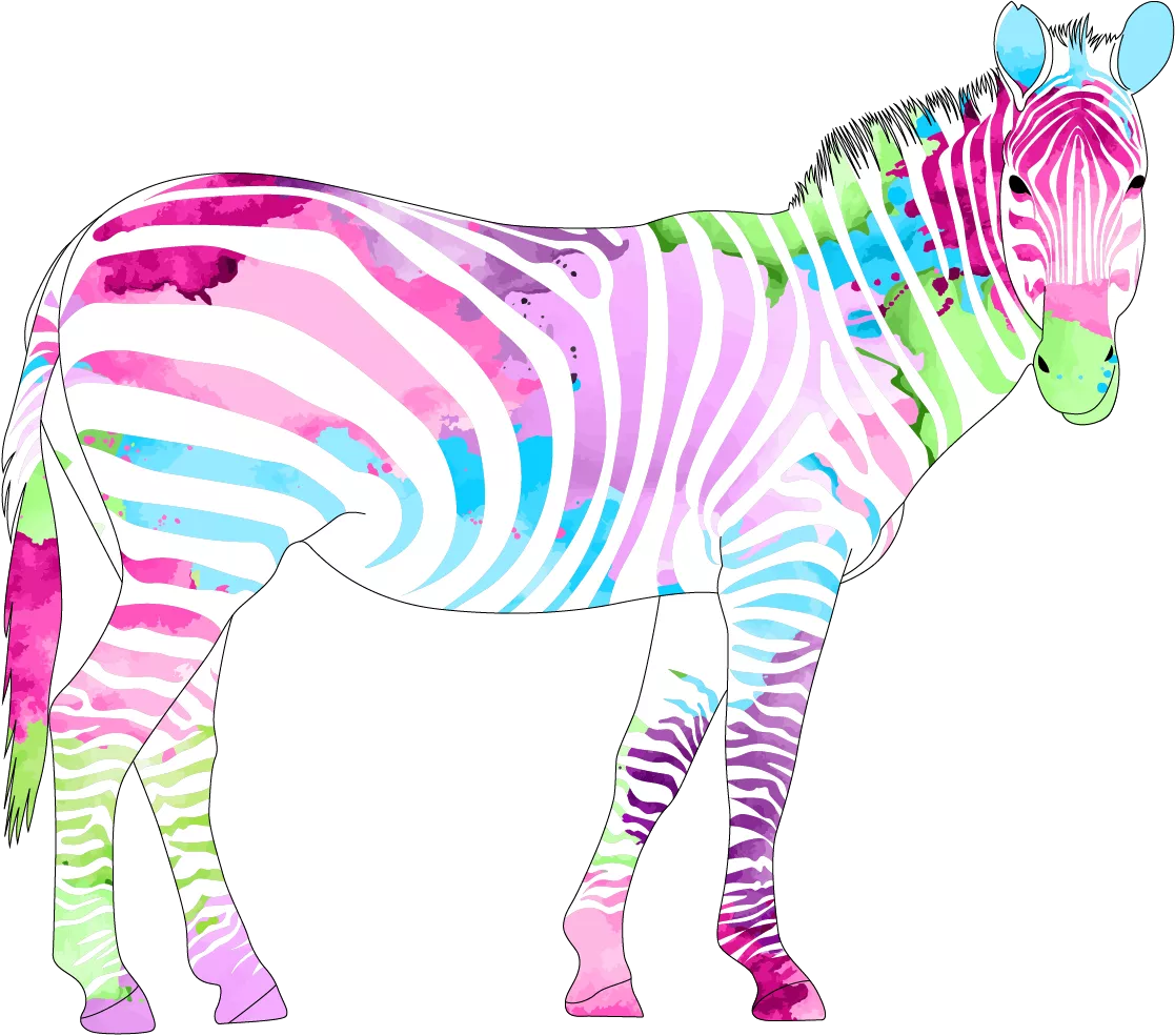 Zebra - Symbolbild für die seltenen Erkrankungen