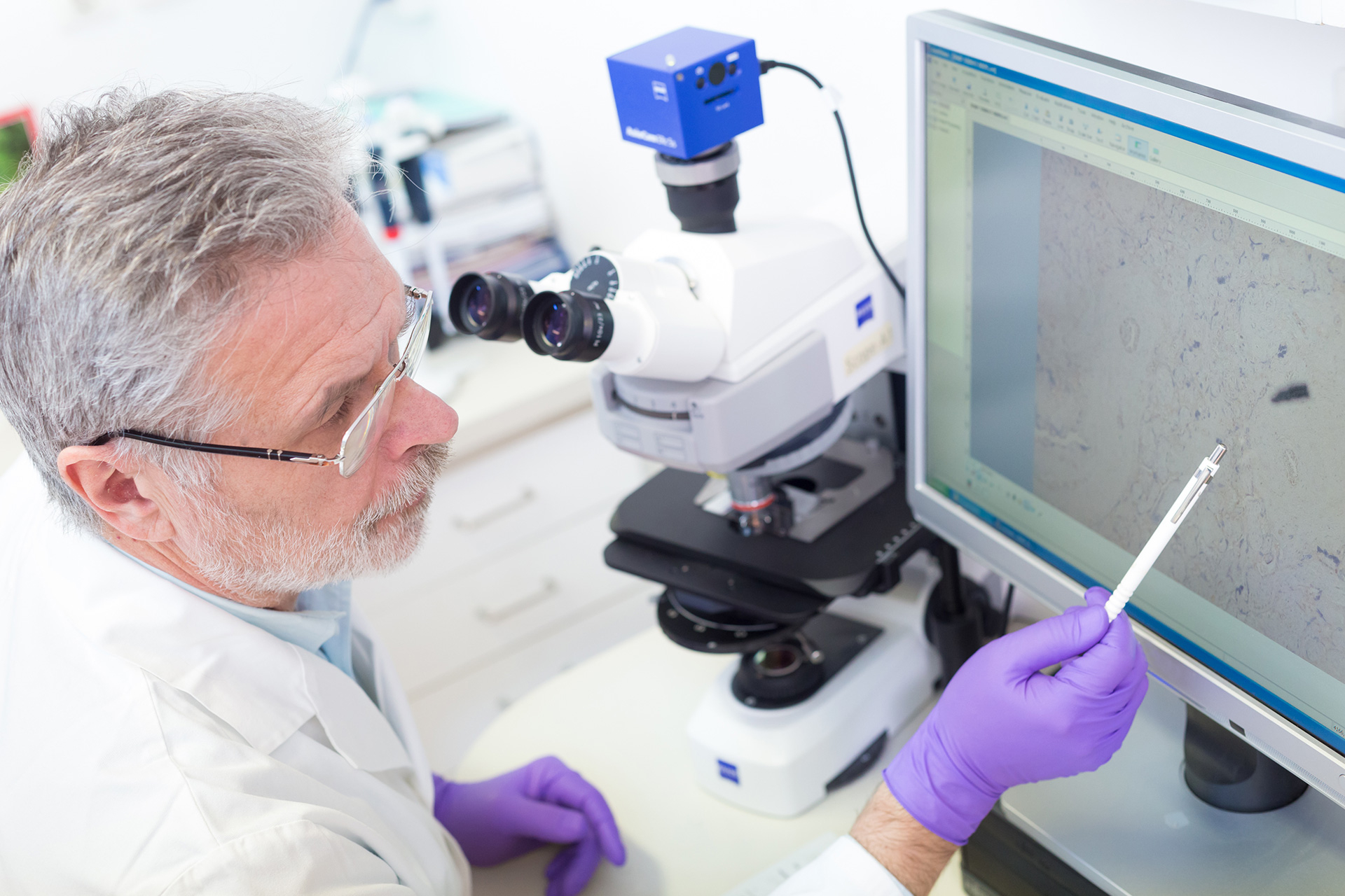 Leitender Wissenschaftler im Labor am Mikroskop 