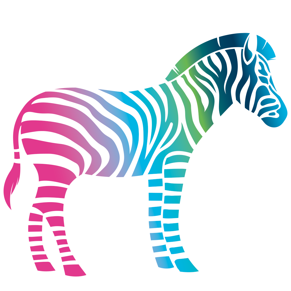 Grafik Buntes Zebra