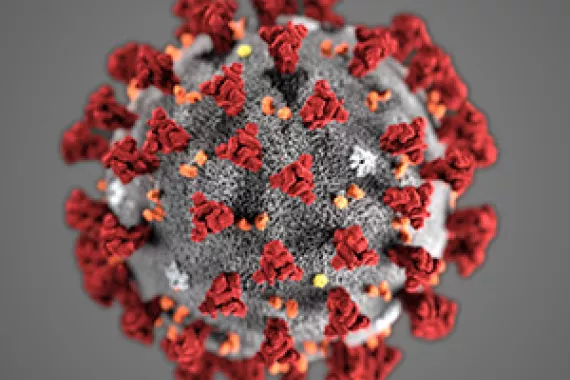 Illustration: Coronavirus (Centers for Disease Control and Prevention)