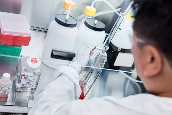 Wissenschaftler im Labor mit Zellkulturen