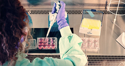 Laborwissenschaftler bei der Vorbereitung von Proben mit Pipette und Reagenzgläsern