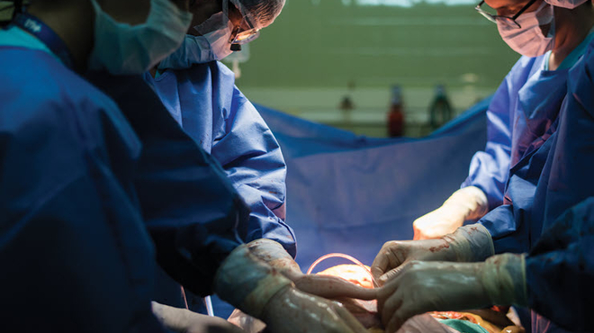 Bild Organspende Bild Organspende