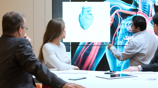 Mit vereinten Kräften gegen Herz-Kreislauf-Erkrankungen Wissenschaftler vor einem 3D-Modell eines Herzens