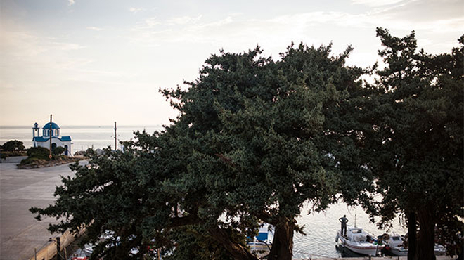 Greek port view