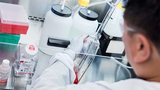 Wissenschaftler im Labor Wissenschaftler im Labor