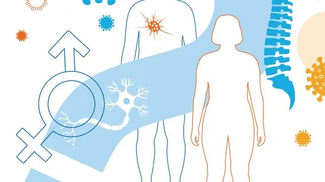 cover der genderbroschuere