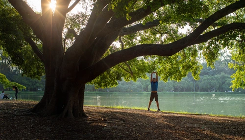 Environment, Society and Governance