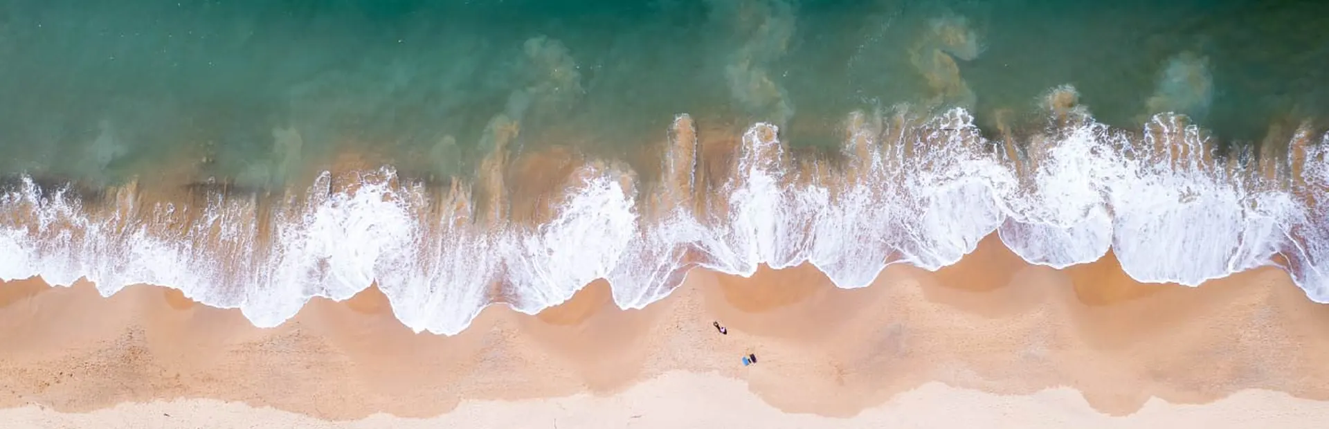 The Innovation Wave 2022