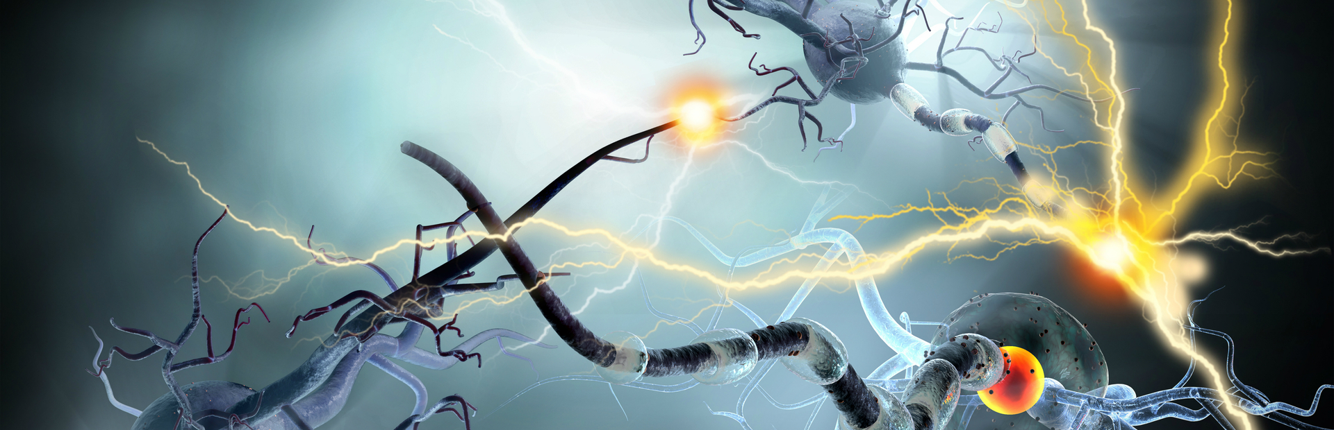 Imagen digital de neuronas realizando neuro transmisiones