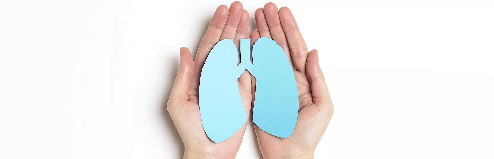 pulmones de papel en manos image_1