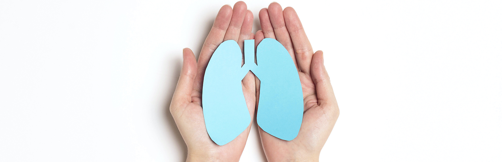 persona sujetando pulmones de papel