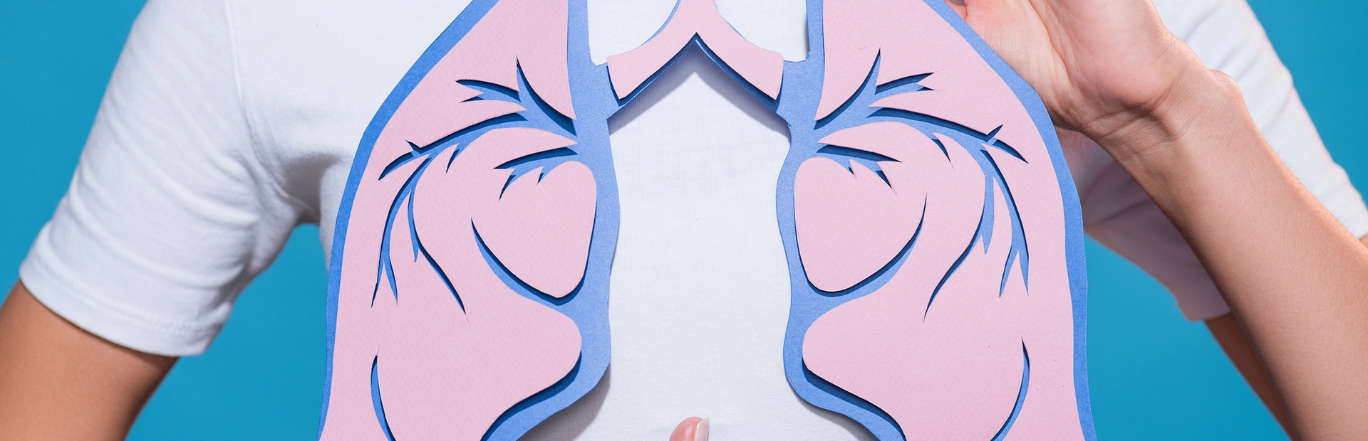 persona sujetando pulmones de papel