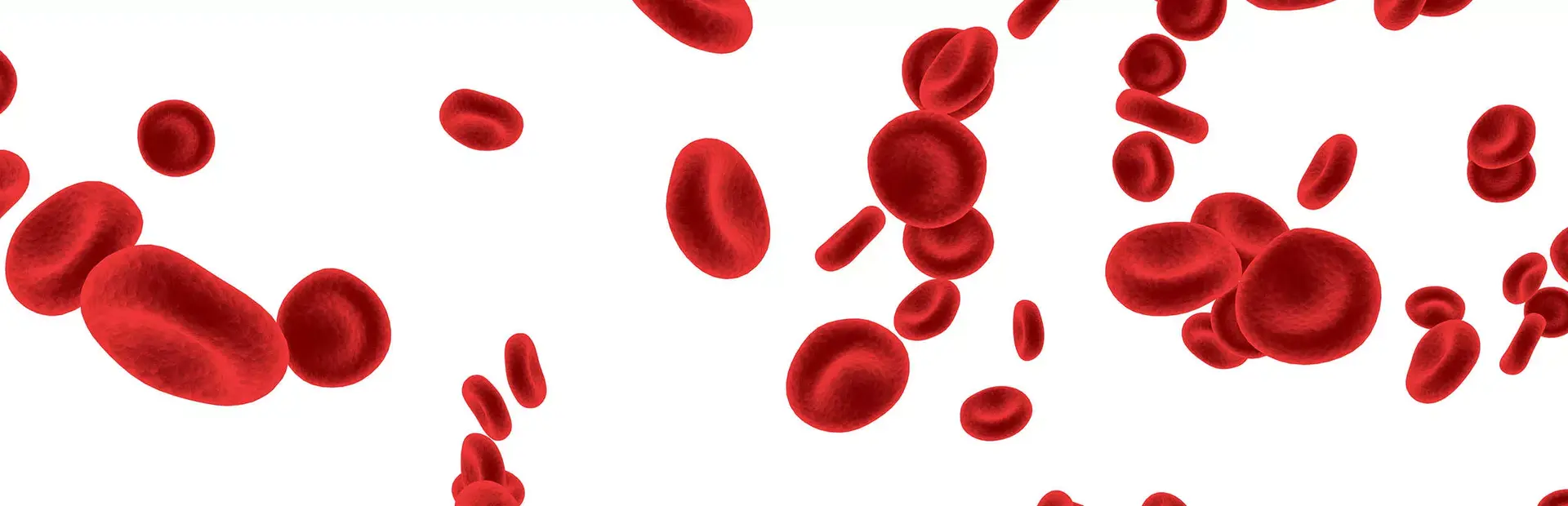 Imagen de glóbulos rojos