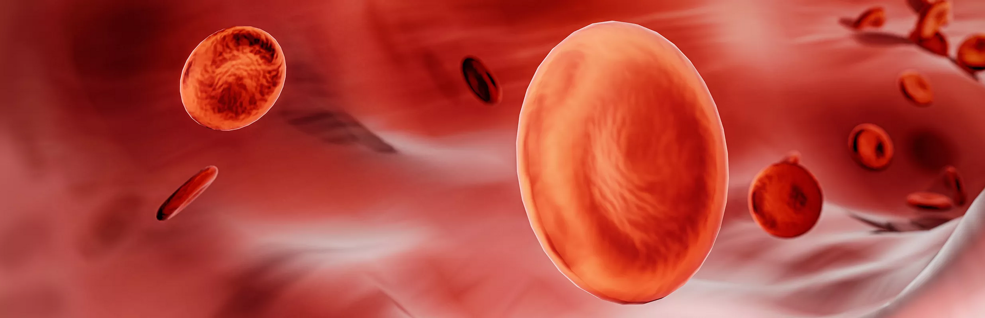 Imagen de glóbulos rojos