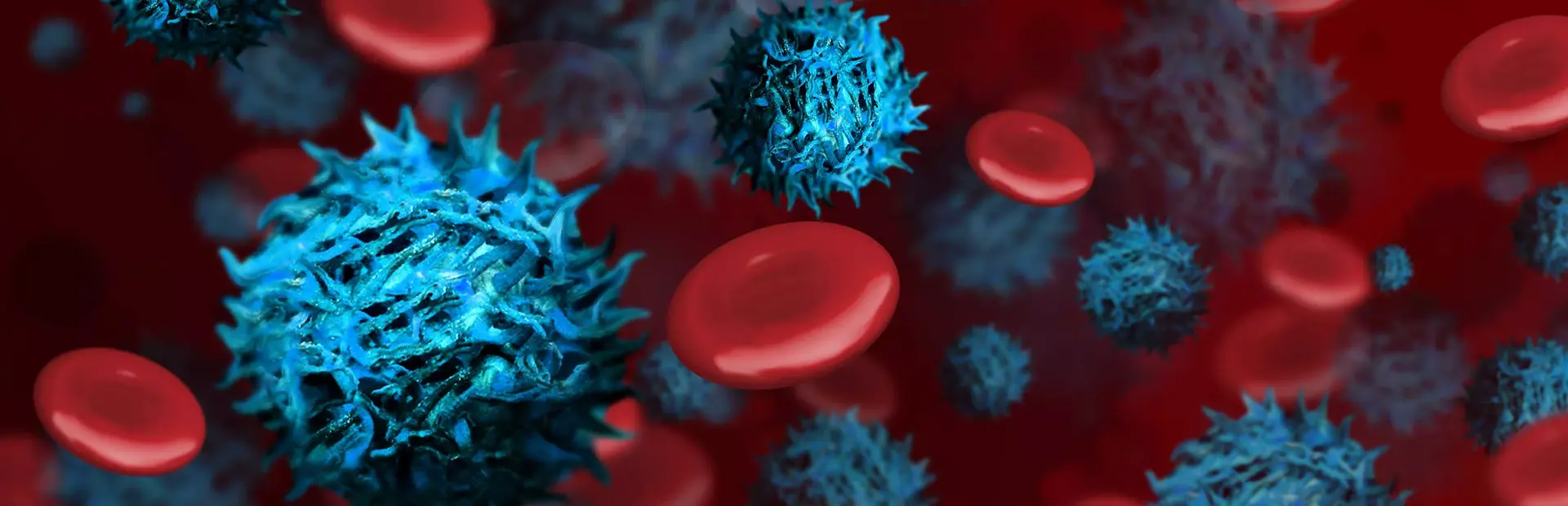 Glóbulos rojos a través del microscopio