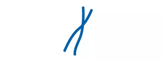 Icono de cromosoma