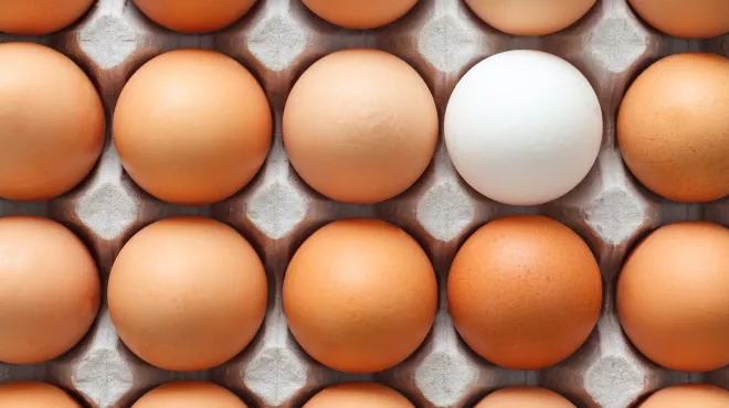 Huevo blanco entre huevos de color carne