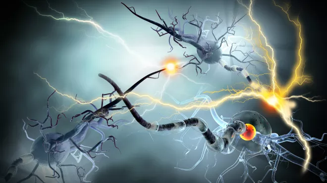 Imagen digital de neuronas realizando neuro transmisiones