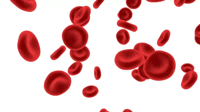 Imagen de glóbulos rojos