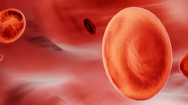 Imagen de glóbulos rojos