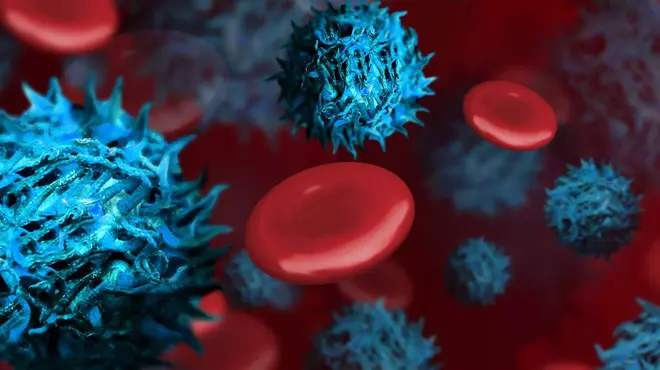 Glóbulos rojos a través del microscopio