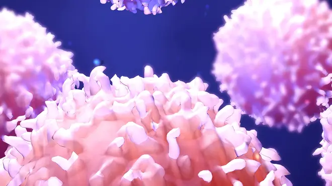 Imagen a través de un microscopio