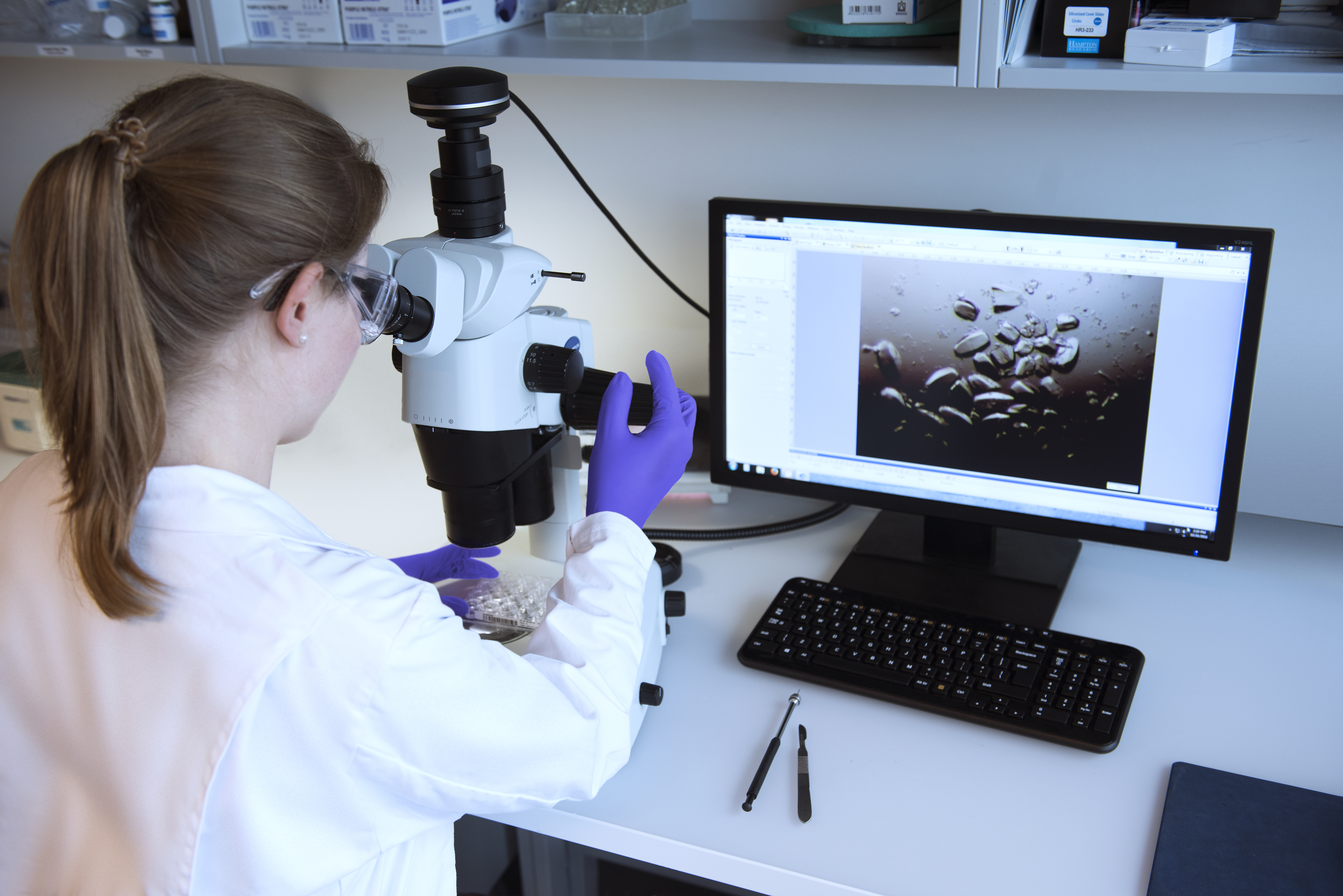 Analyse médicale par une scientifique