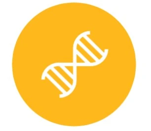 Illustration test génétique