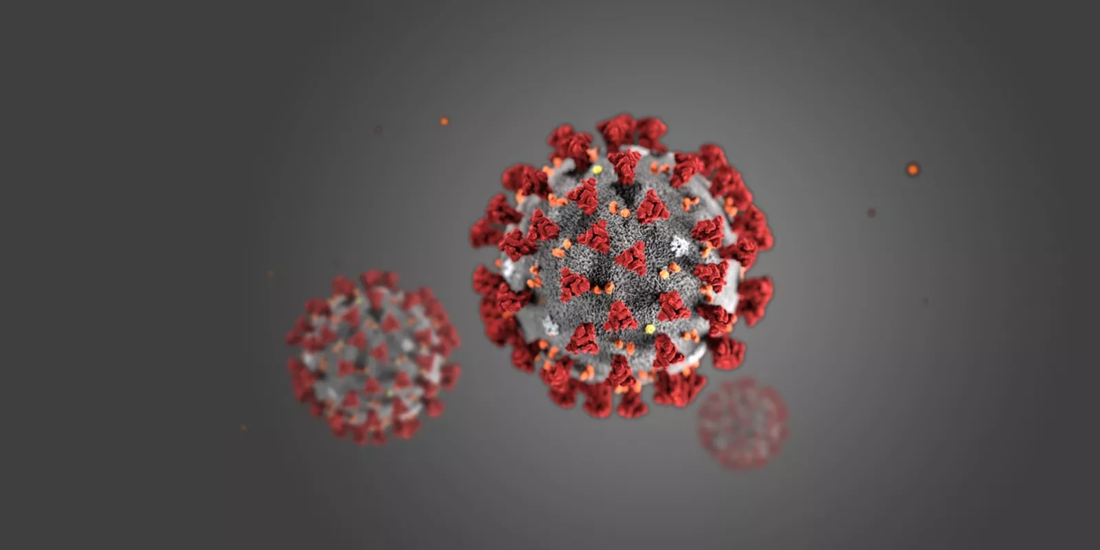 Illustration: Coronavirus (Centers for Disease Control and Prevention)