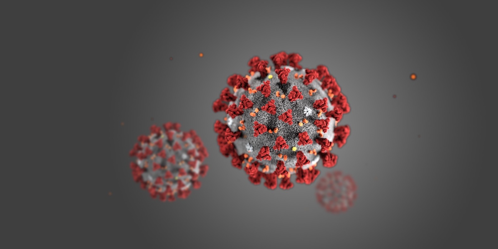 Illustration: Coronavirus (Centers for Disease Control and Prevention)