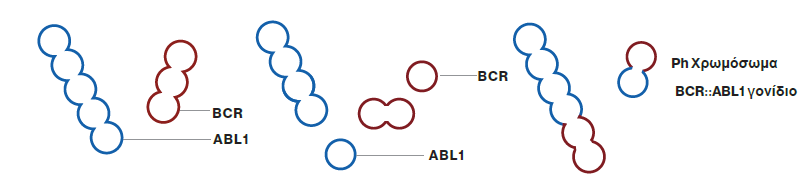 CML1