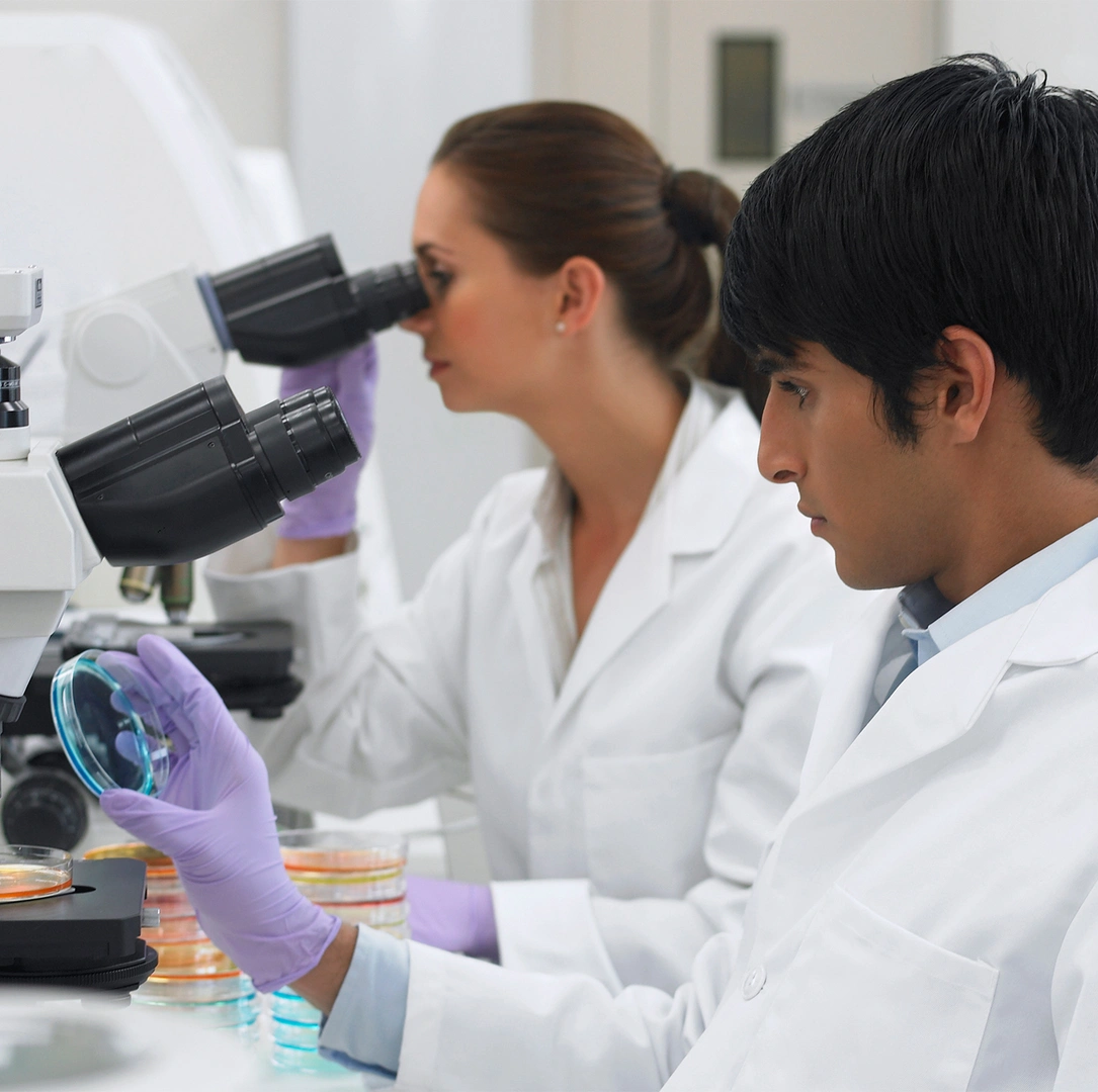 Ποιότητα και Ασφάλεια Προϊόντων