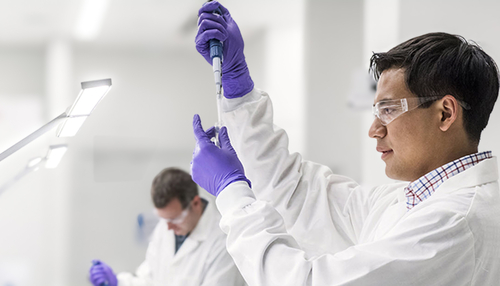 Man scientists working in lab