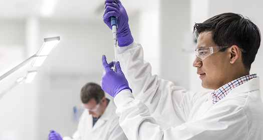 Man scientists working in lab