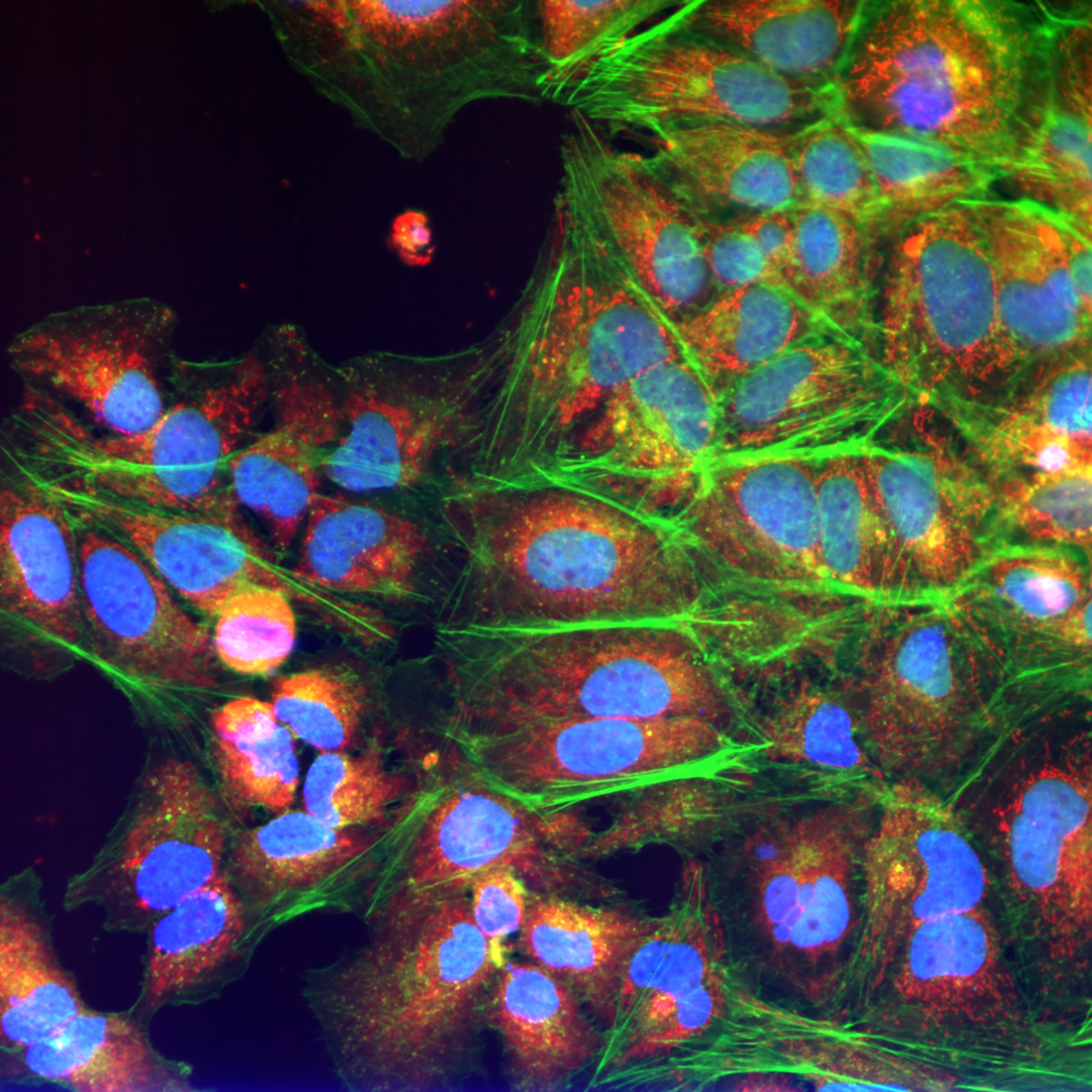 Pathfinder Study on the Adoption of Cell and Gene Therapies in Ireland ...