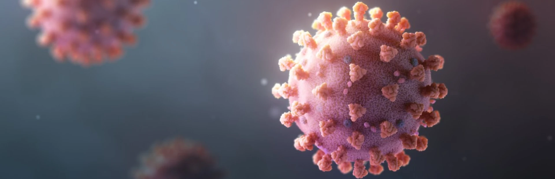 Image of coronavirus
