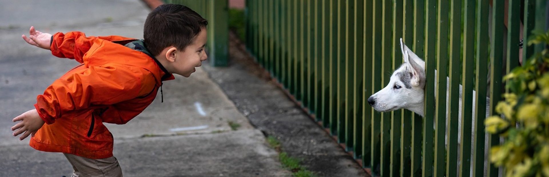 Image of child playing with dog