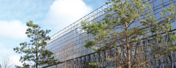 Novartis Elm Park