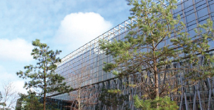 Novartis Elm Park