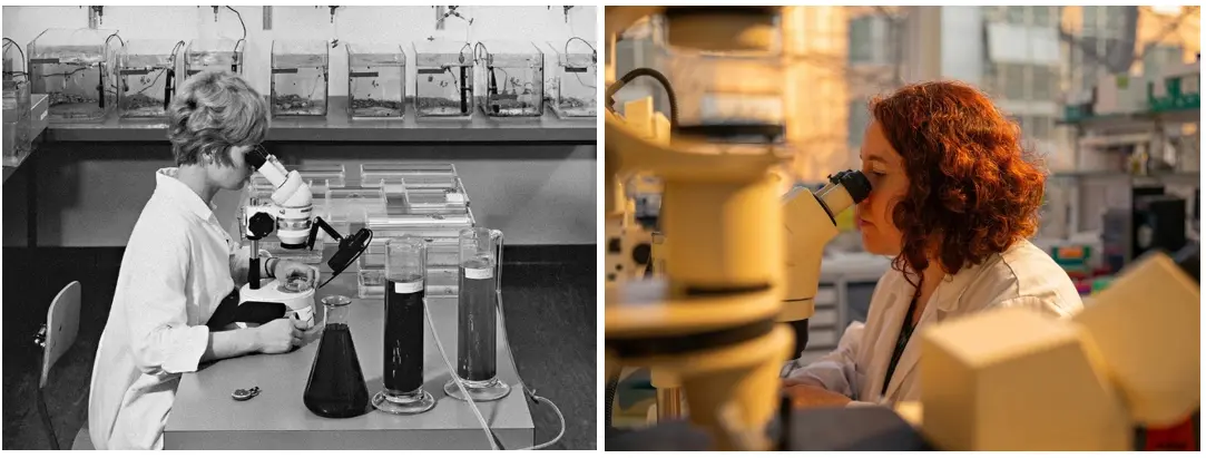 30 years of Novartis,