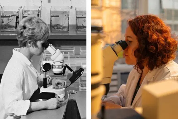 30 years of Novartis, powered by 250 years of innovation 