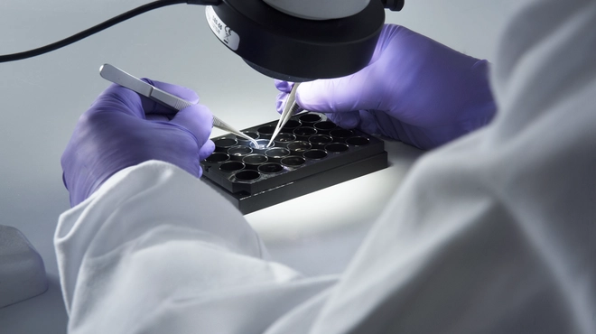 Novartis and Microsoft AI Collaboration