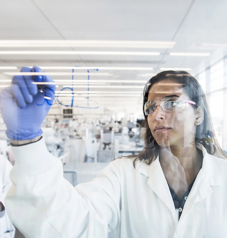 נוברטיס ישראל