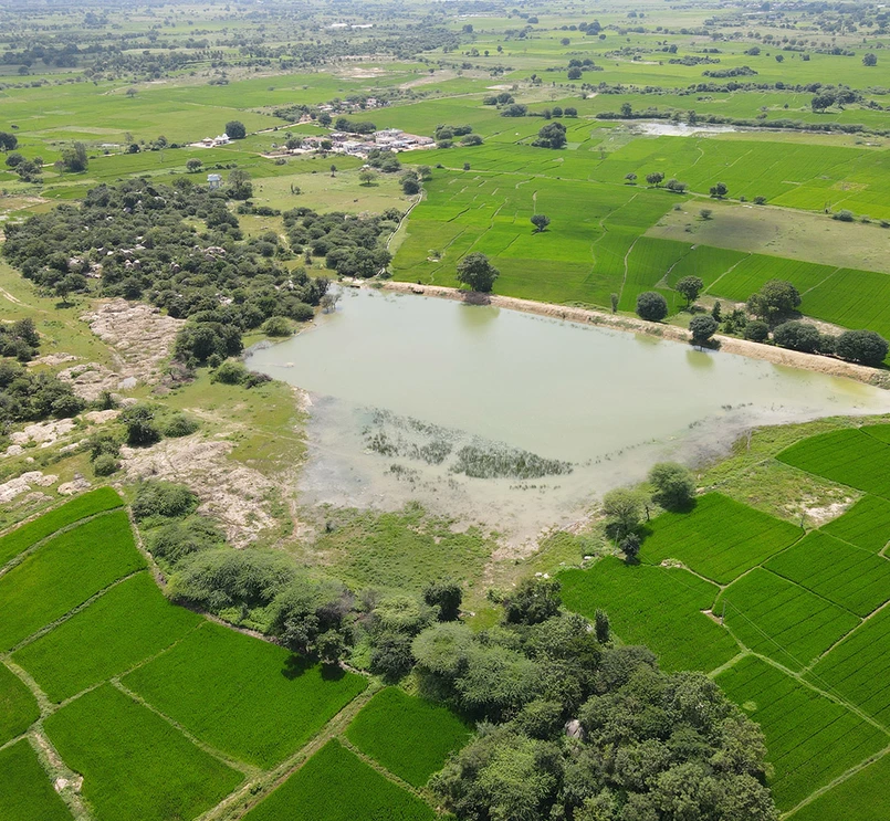 Fields revived through the watershed project