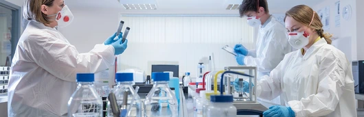 nibr discovery efforts